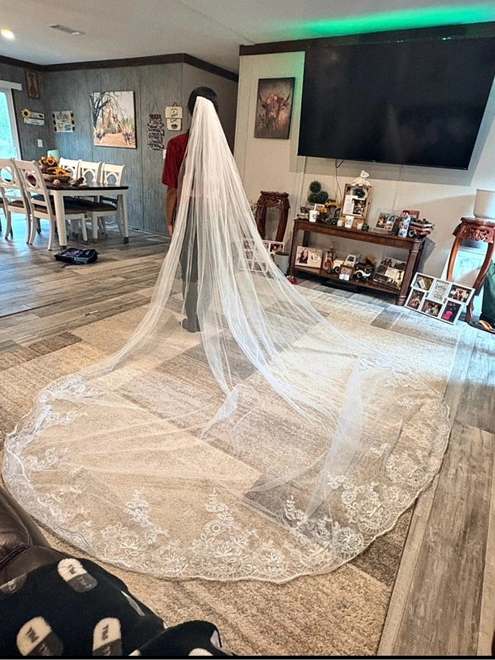 Cathedral Length Lace Wedding Veil